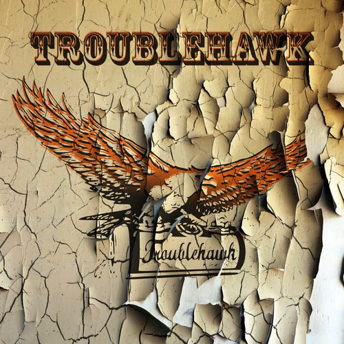 Old paint texture CD album