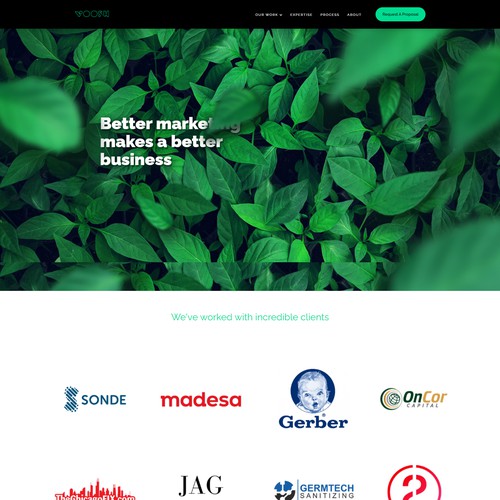 Voosh Digital Agency