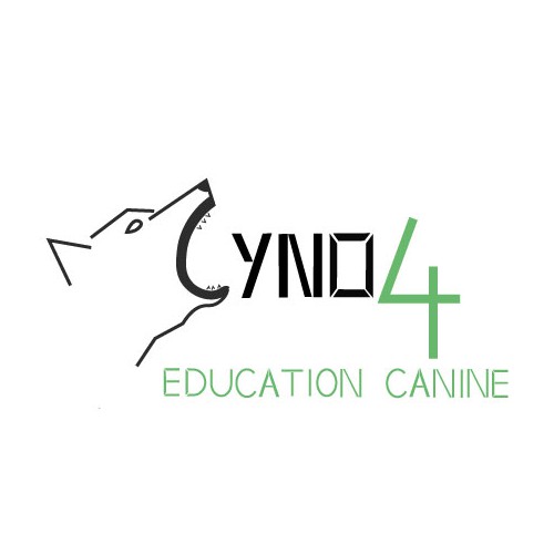 Logo attempt for canine education company