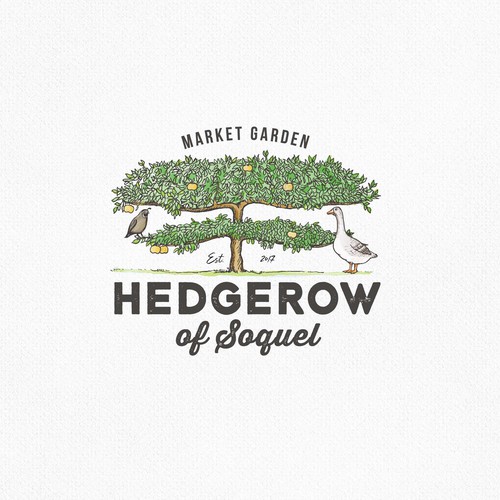 Hedgerow of soquel