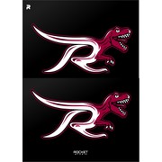 Reviewed design