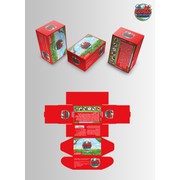 Reviewed design