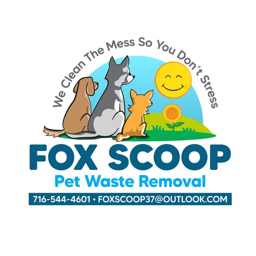 The Fox