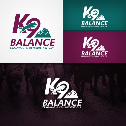 K9 Balance