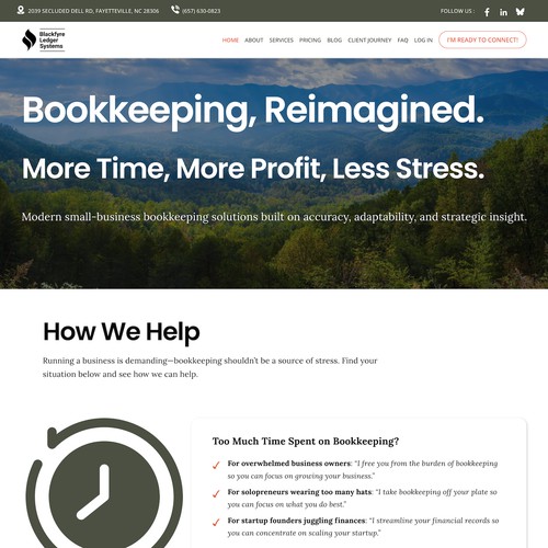 Blackfyre Ledger Systems Accounting Design Customizations