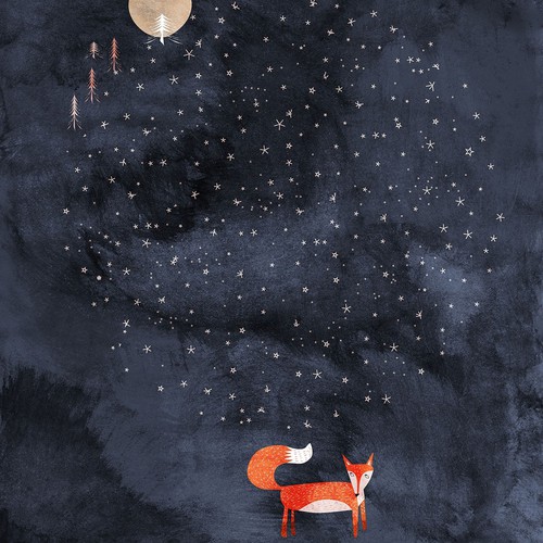 Fox illustration