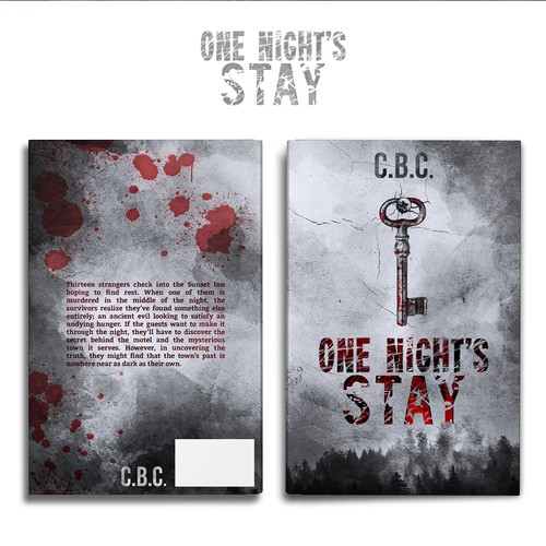 One Night's Stay