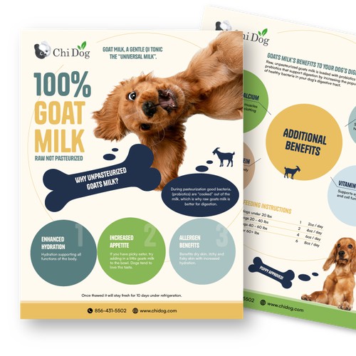 Brochure for Chi Dog