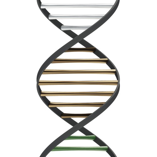 3D DNA strand 