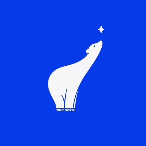 TRUE NORTH