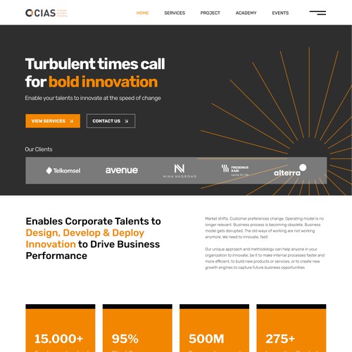 Consultant Website Design