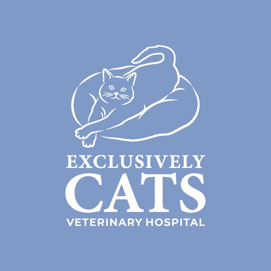 Logo Refresh for Cat Only Practice - Exclusively Cats