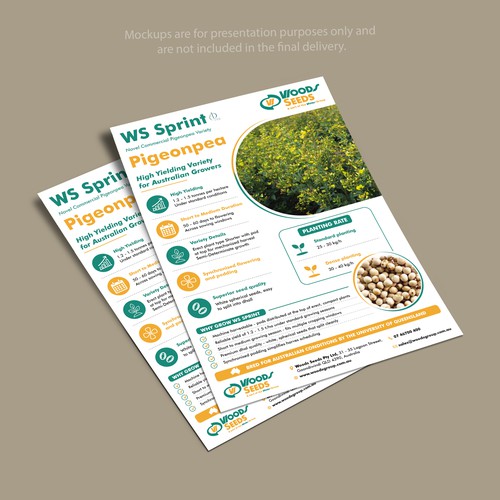 Flyer Design 
