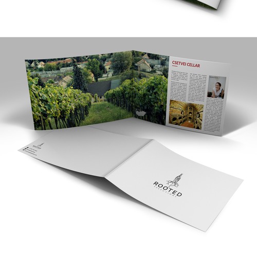 Wine Portfolio Book