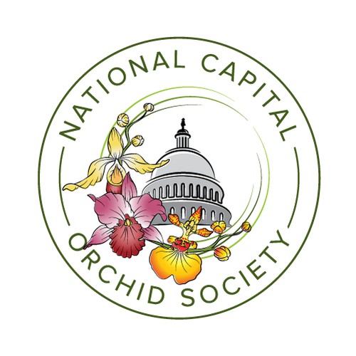 orchid flower logo