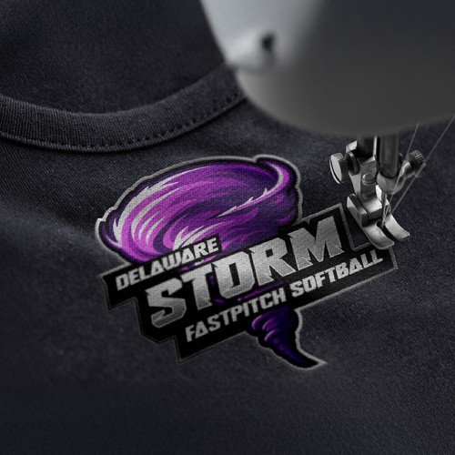 Delaware Storm Fastpitch Softball Logo 