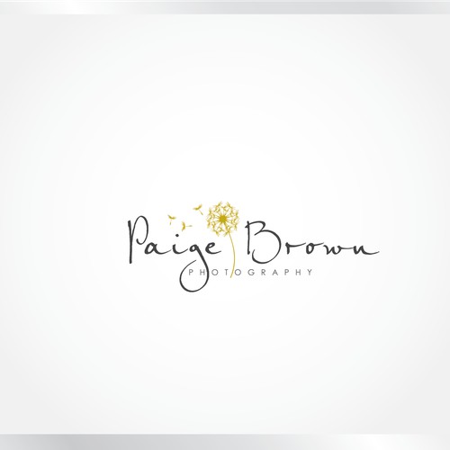 Create the next logo for Paige Brown Photography