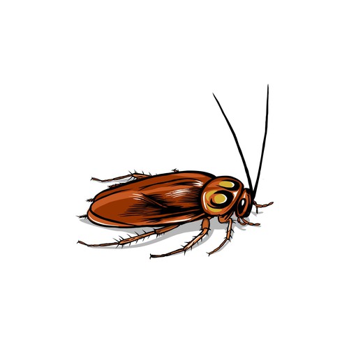 Illustration of the insect pet