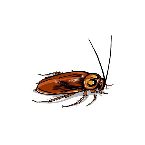 Illustration of the insect pet