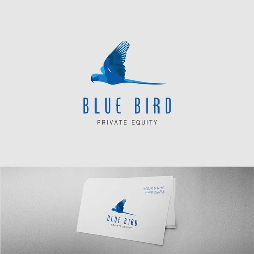 Logo concept for a boutique investment fund manager