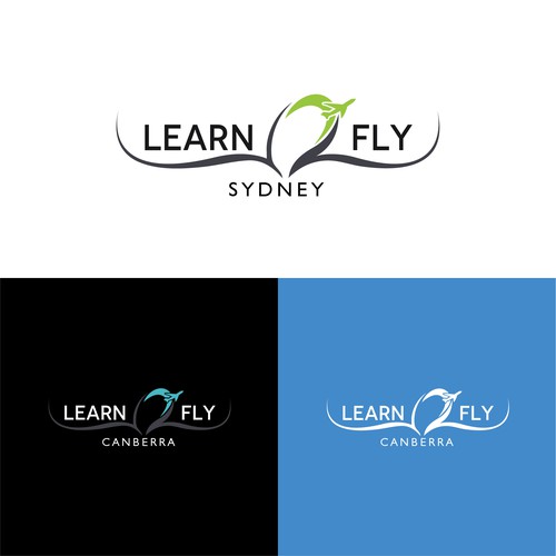Learn 2 Fly design for flying shool
