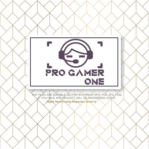 PRO GAMER ONE