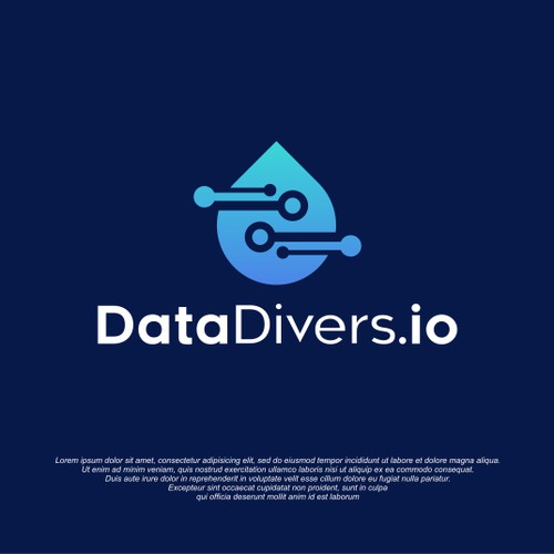 Logo for Data Divers