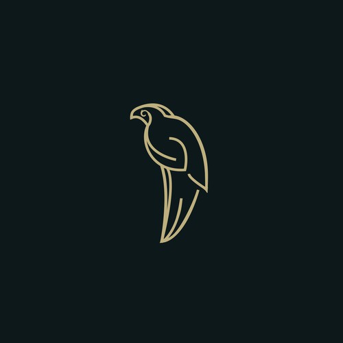 Bird of Paradise