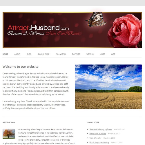 New banner ad wanted for www.AttractaHusband.com