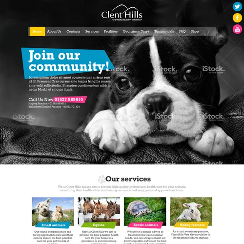 Webdesign concept for a veterinary group