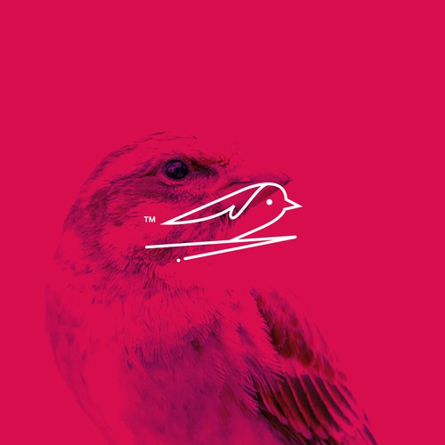 Bird Stampede Logo Design