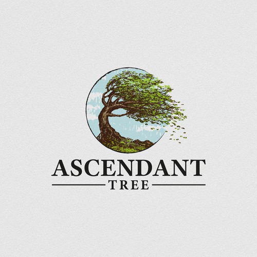 Ascendant Tree Logo