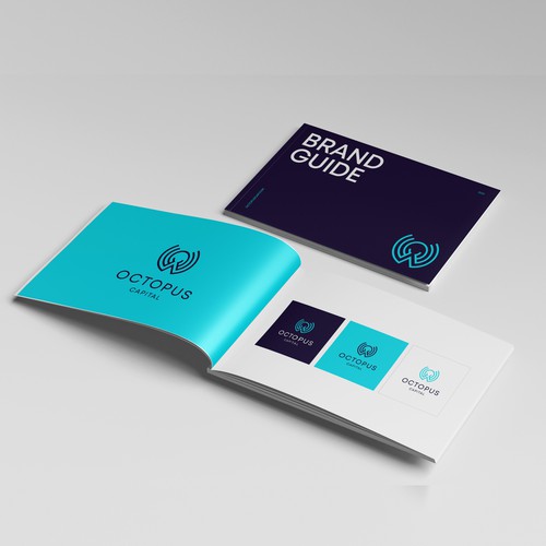 Brand Guide for the finance company