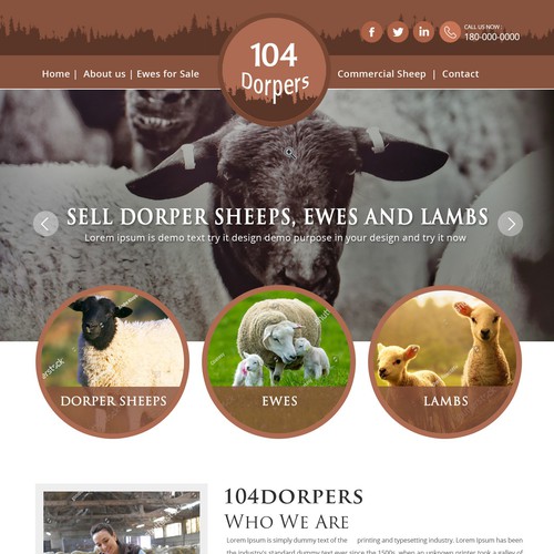 OUR CONTEST WINNING LANDING PAGE DESIGN - 104 DORPERS