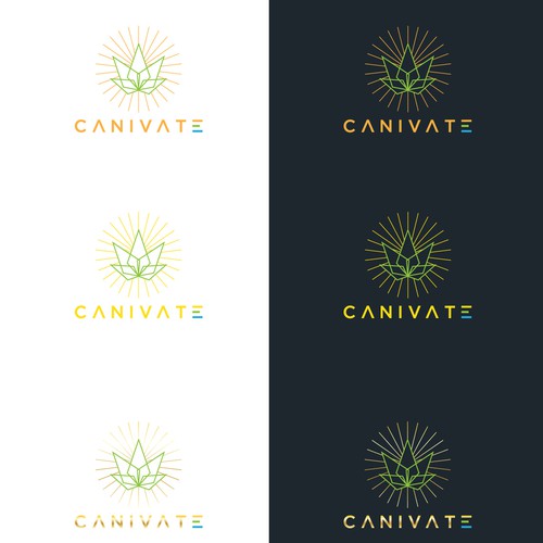 Winning design for Canivate