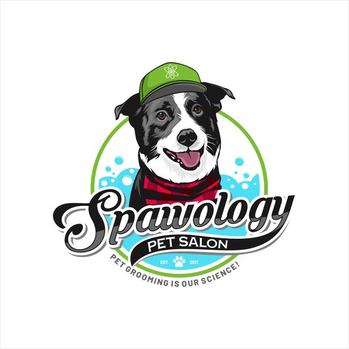 Logo Concept for Spawology