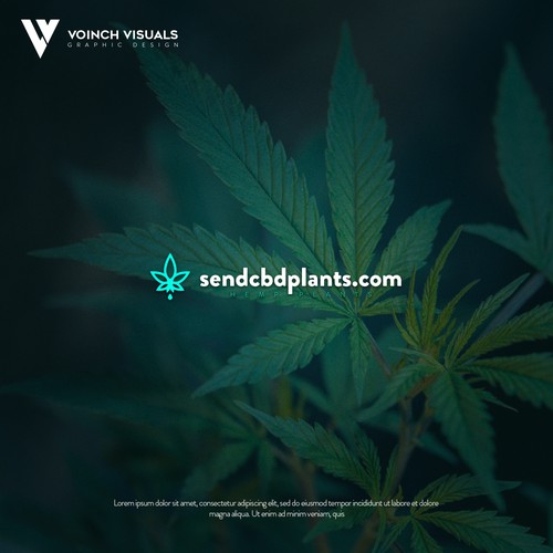 Minimal logo concept for Sendcbdplants.com