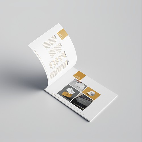 Brand Style Guide Design