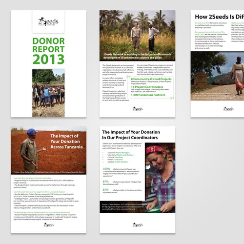 Help a great non-profit design its Annual Report to Donors