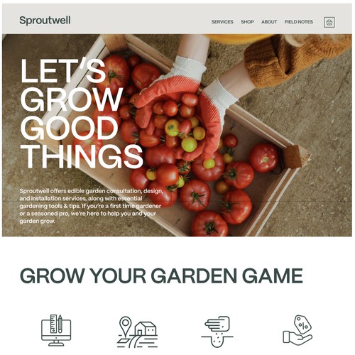 Optimisation of Hello Sprout well