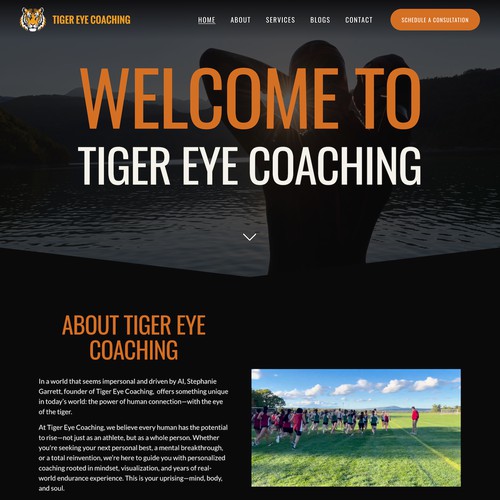 Tiger Eye Coaching Customization Design