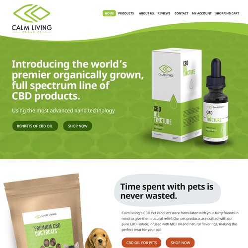 Web Design for Calm Living