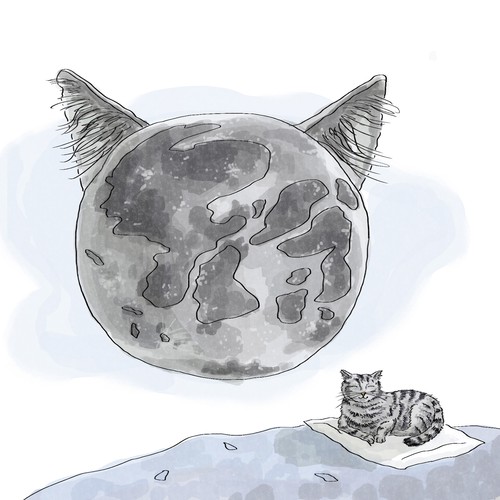 Clean Lunar Cat