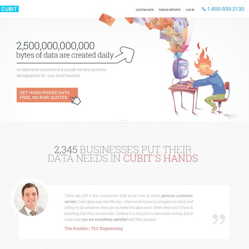 Flat Home Page Design for Plucky Data Consultants