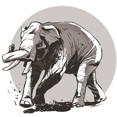 Elephant 