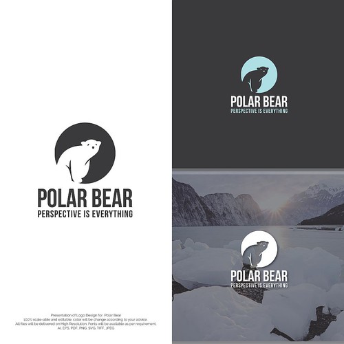 Polar Bear Logo Concept