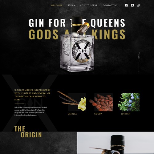 X-Gin website