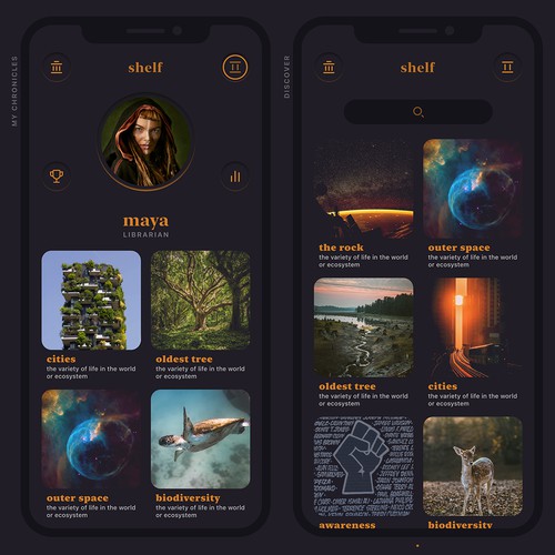shelf - 'the lost scrolls', concept app