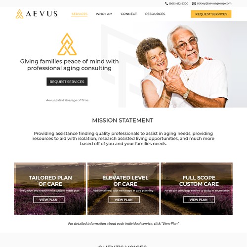 Web Design for Aevus