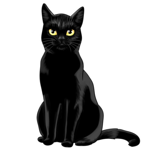 Black cat design